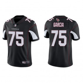 Men's Arizona Cardinals Max Garcia Black Vapor Limited Jersey